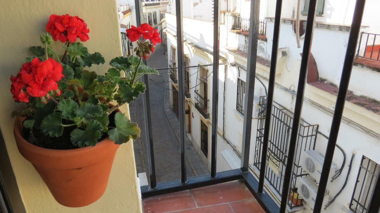 コルドバPatios De San Andresアパートメント エクステリア 写真